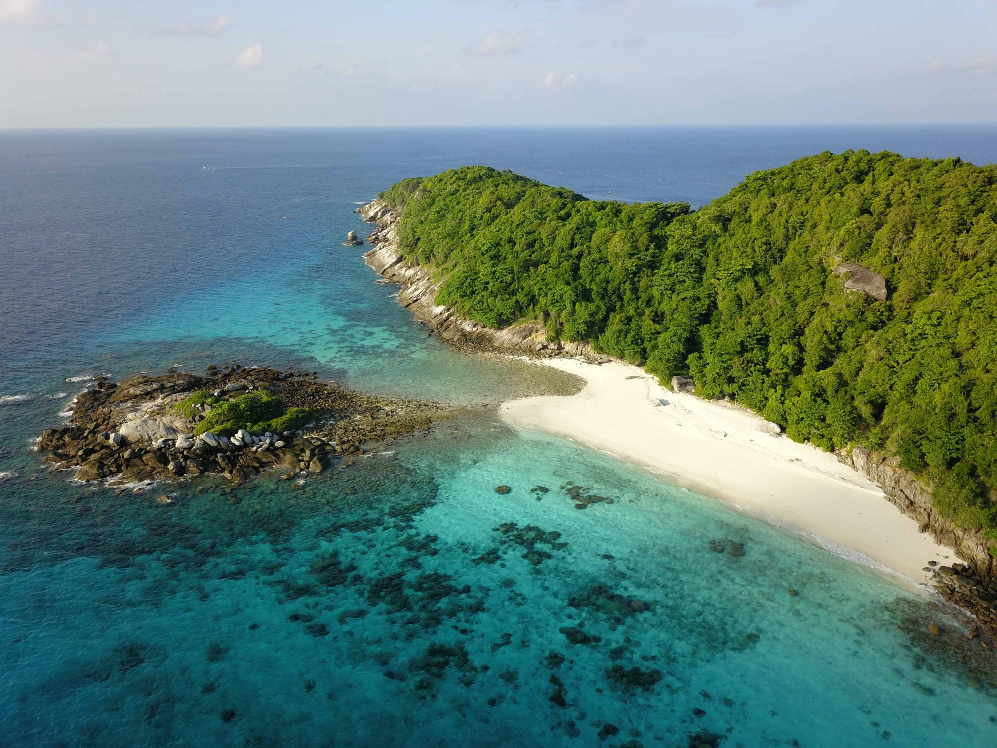 Racha Island & Dolphin Speedboat Tour PT-1 image 8