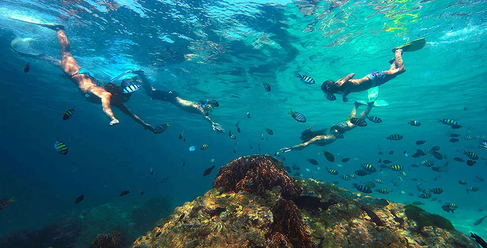 Phi Phi Islands Sunrise Speedboat Tour PT-4 image 2