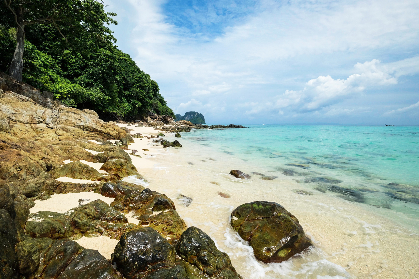 Phi Phi Islands Sunrise Speedboat Tour PT-4 image 5
